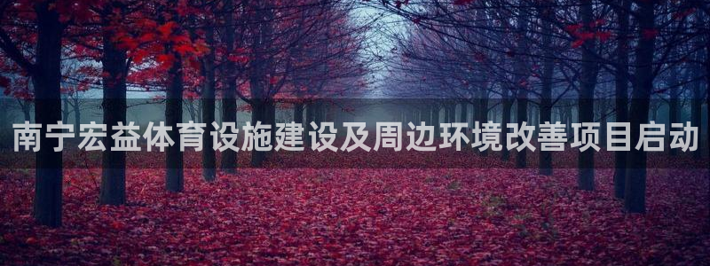 意昂体育4平台注册：南宁宏益体育设施建设及周边环境改